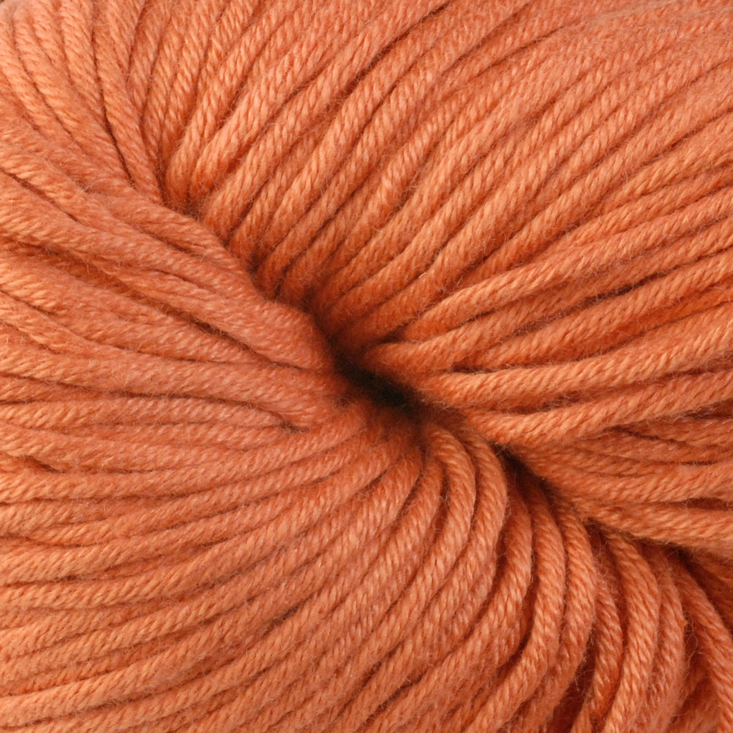 Skein of Berroco Modern Cotton Worsted weight yarn in color Arcade (Orange) for knitting and crocheting.