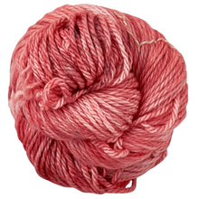Load image into Gallery viewer, Cornbread and Honey Bulky Yarn

