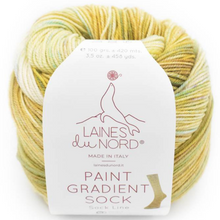 Load image into Gallery viewer, Laines Du Nord Paint Gradient Sock Yarn
