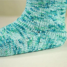Load image into Gallery viewer, Speedwalker Socks Knit Kit
