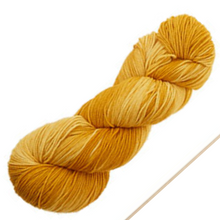Load image into Gallery viewer, Araucania Huasco Sock - Kettle Dyed Yarn
