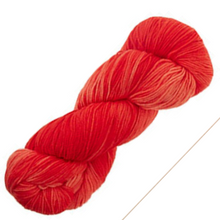 Load image into Gallery viewer, Araucania Huasco Sock - Kettle Dyed Yarn
