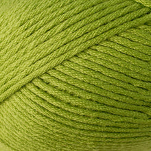 Load image into Gallery viewer, Skein of Berroco Comfort Worsted Worsted weight yarn in the color Seedling (Green) for knitting and crocheting.
