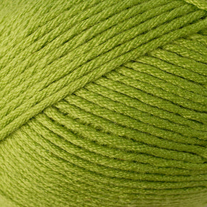 Skein of Berroco Comfort Worsted Worsted weight yarn in the color Seedling (Green) for knitting and crocheting.