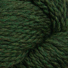Load image into Gallery viewer, Skein of Cascade 128 Superwash Bulky weight yarn in the color Shire (Green) for knitting and crocheting.
