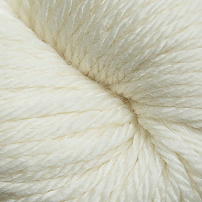 Skein of Cascade 220 Superwash Sport Sport weight yarn in the color Aran (Cream) for knitting and crocheting.