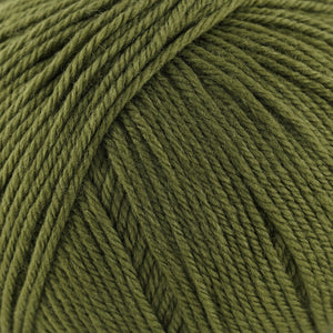 Skein of Cascade 220 Superwash Worsted weight yarn in the color Avocado (Green) for knitting and crocheting.