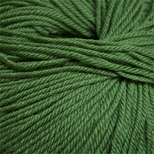 Skein of Cascade 220 Superwash Worsted weight yarn in the color Mint Green (Green) for knitting and crocheting.