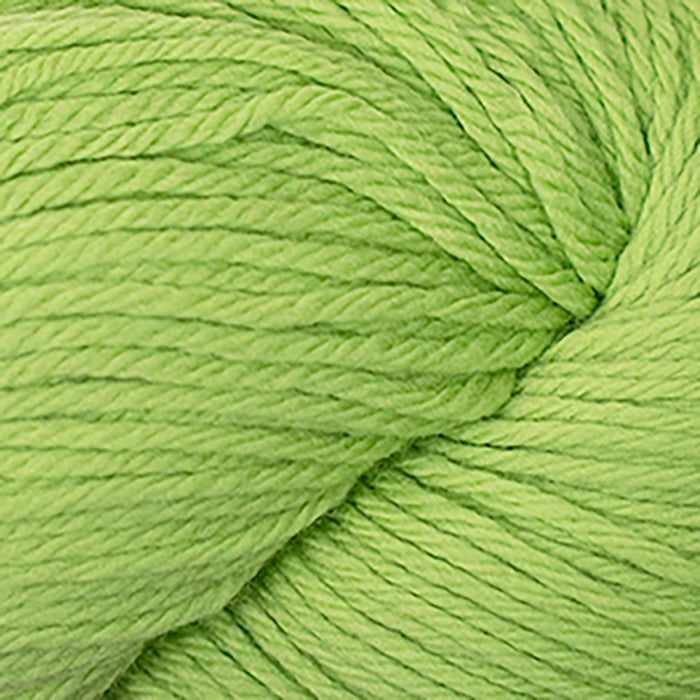 Skein of Cascade 220 Worsted weight yarn in the color Citron (Green) for knitting and crocheting.