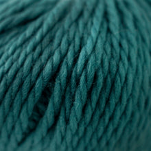 Load image into Gallery viewer, Skein of Cascade Llana Grande Super Bulky weight yarn in the color Blue Grass (Blue) for knitting and crocheting.
