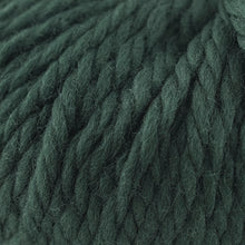 Load image into Gallery viewer, Skein of Cascade Llana Grande Super Bulky weight yarn in the color Pine Grove (Green) for knitting and crocheting.
