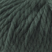 Load image into Gallery viewer, Pensativa Cowl Knit Kit
