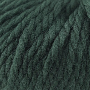 Skein of Cascade Llana Grande Super Bulky weight yarn in the color Pine Grove (Green) for knitting and crocheting.