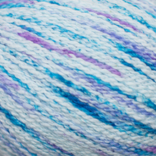 Load image into Gallery viewer, Speedwalker Socks Knit Kit

