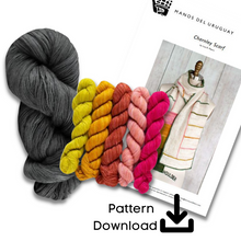 Load image into Gallery viewer, Charnley Scarf Knit Kit
