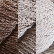 Load image into Gallery viewer, Color Shift Shawl Knit Kit
