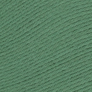 Skein of Ella Rae Cashmereno Aran Worsted weight yarn in the color Spruce (Green) for knitting and crocheting.