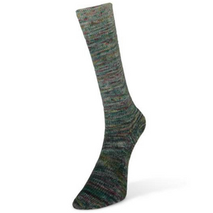 Laines Du Nord Paint Gradient Sock Yarn