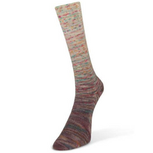 Load image into Gallery viewer, Laines Du Nord Paint Gradient Sock Yarn
