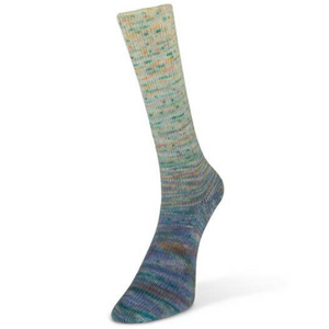 Laines Du Nord Paint Gradient Sock Yarn