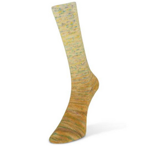 Laines Du Nord Paint Gradient Sock Yarn