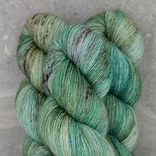 Load image into Gallery viewer, Madelinetosh Tosh Merino Light
