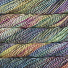 Load image into Gallery viewer, Skein of Malabrigo Rios Worsted weight yarn in the color Arco Iris (Multi) for knitting and crocheting.
