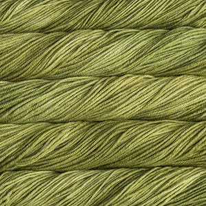 Skein of Malabrigo Rios Worsted weight yarn in the color Lettuce (Green) for knitting and crocheting.