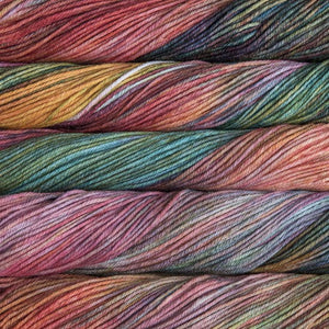 Skein of Malabrigo Rios Worsted weight yarn in the color Liquidambar (Multi) for knitting and crocheting.
