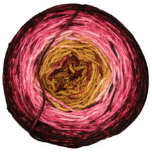 Load image into Gallery viewer, Malabrigo Metamorphosis Sock Yarn
