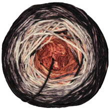 Load image into Gallery viewer, Malabrigo Metamorphosis Sock Yarn
