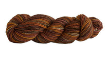 Load image into Gallery viewer, Skein of Manos del Uruguay Silk Blend Space-Dyed DK weight yarn in the color Prairie (Brown) for knitting and crocheting.
