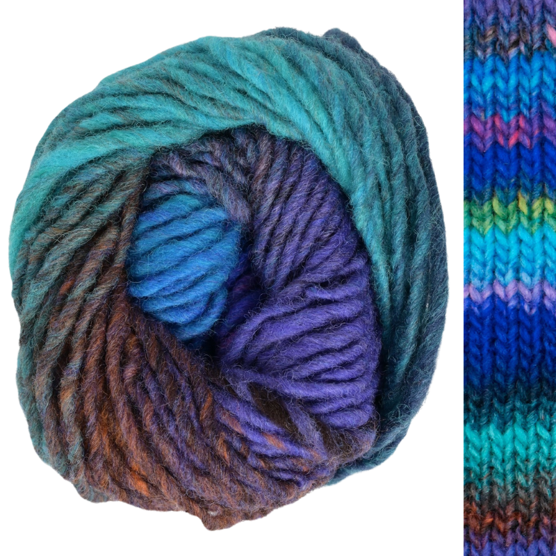 Noro Kureyon Yarn One BIG Happy Yarn Co. One Big Happy