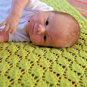 Saurey Baby Blanket Knit Kit