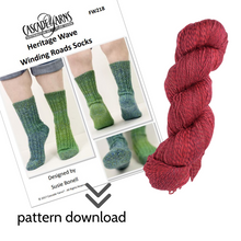 Load image into Gallery viewer, Winding Road Socks Knit Kit
